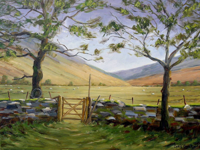 A welsh art print of West Wales with a gate leading across fields